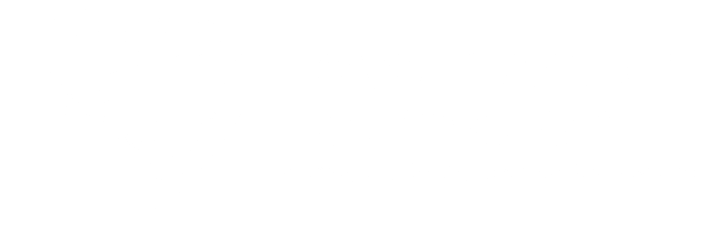 Love In Action Foundation